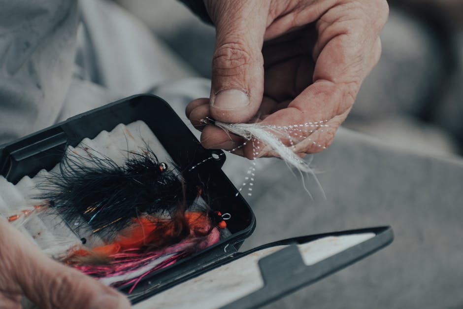 A close-up of a person's hands holding a small, clear plastic fishing tackle box filled with various fishing lures, including a black feathered lure, a bright orange lure, and other colourful artifici
